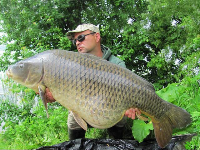 Luigi isi doboara recordul cu SUPER SQUID